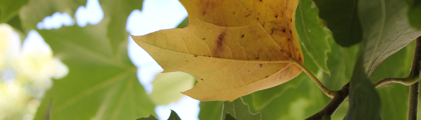 Profile banner image for airair21