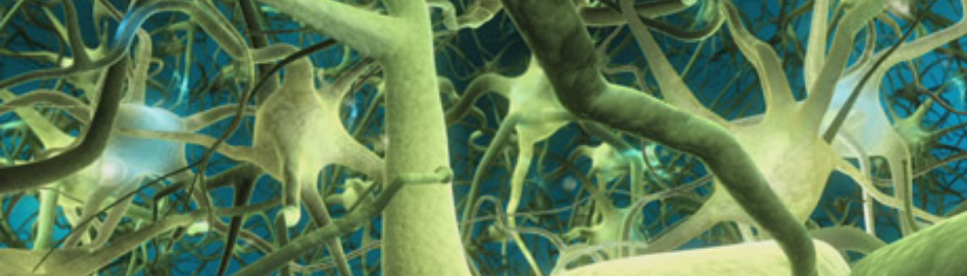 Profile banner image for Catethulhu