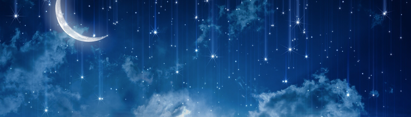 Profile banner image for willowBending