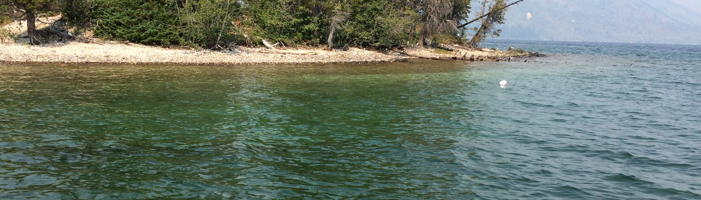 Profile banner image for midnight_memory