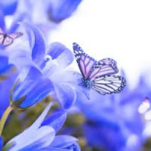 Profile avatar image for eUrEkA333