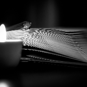 Profile avatar image for HenrykCPhoenix