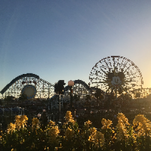 Profile avatar image for thaliagrayson