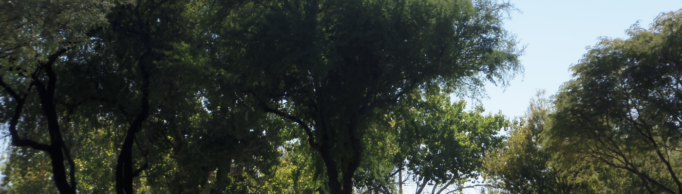 Profile banner image for StineKasallis