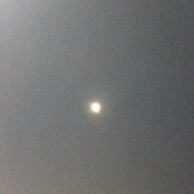 Profile avatar image for Alison