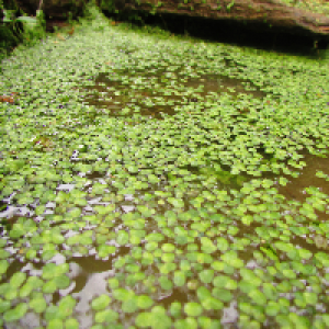 Profile avatar image for hnblake