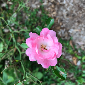 Profile avatar image for JuliaClare