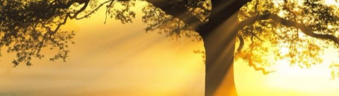 Profile banner image for HADouglas