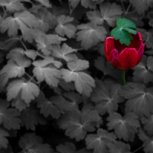 Profile avatar image for Vik_Blot