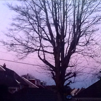 Profile avatar image for _FictionIsMagic