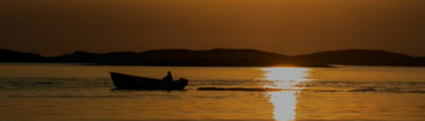 Profile banner image for amercurio