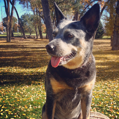 Profile avatar image for tlpstorms