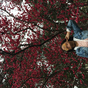 Profile avatar image for lamarea