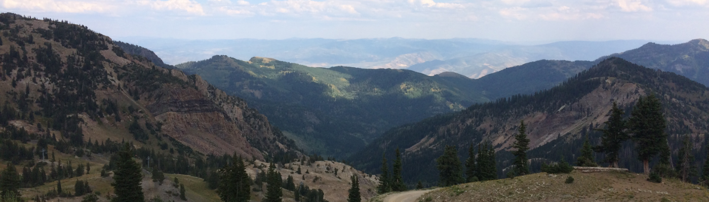 Profile banner image for bird57