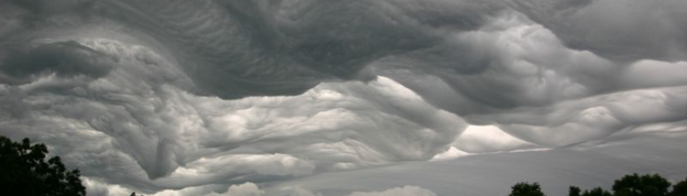 Profile banner image for strawbeary