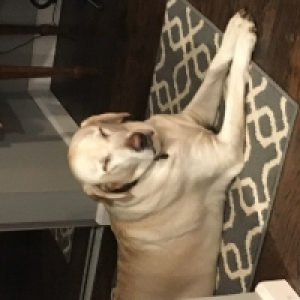 Profile avatar image for Winston45