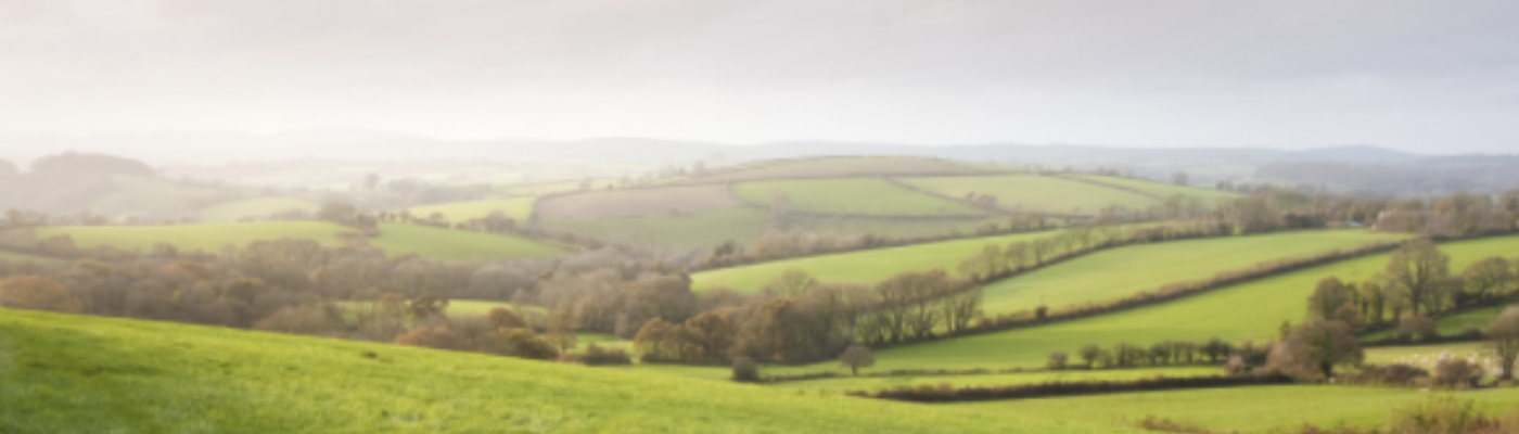 Profile banner image for felixwpoder