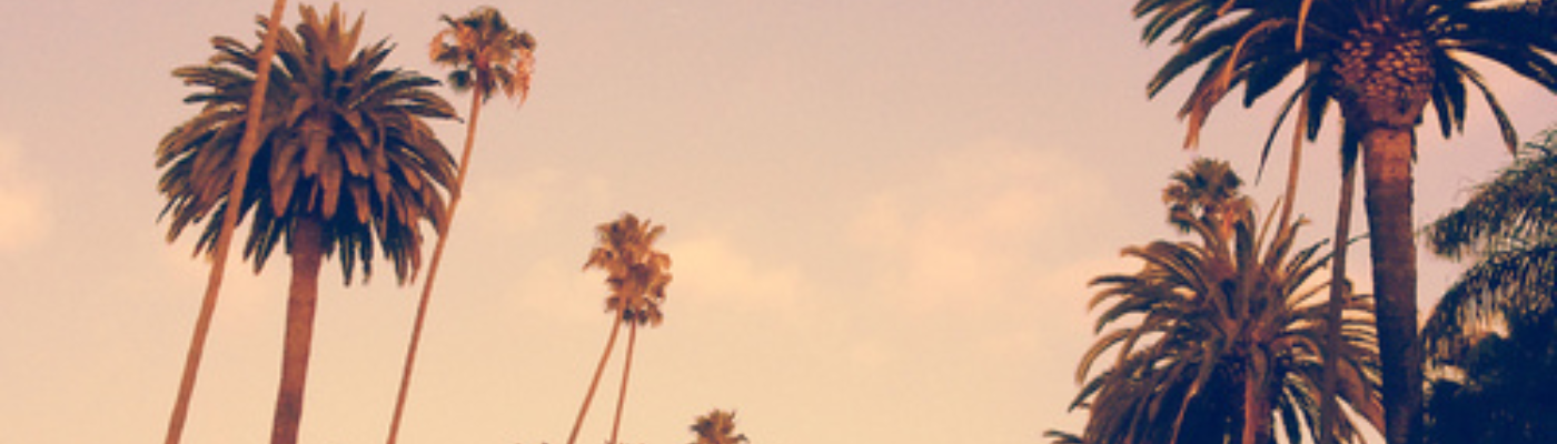 Profile banner image for syzygy