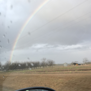 Profile avatar image for BlueeyedAnnah