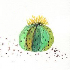 Profile avatar image for Skactus