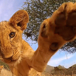 Profile avatar image for a_hiers02