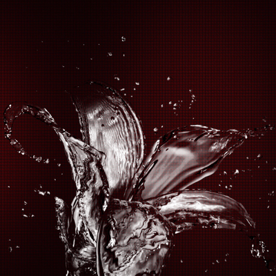 Profile avatar image for Shauna