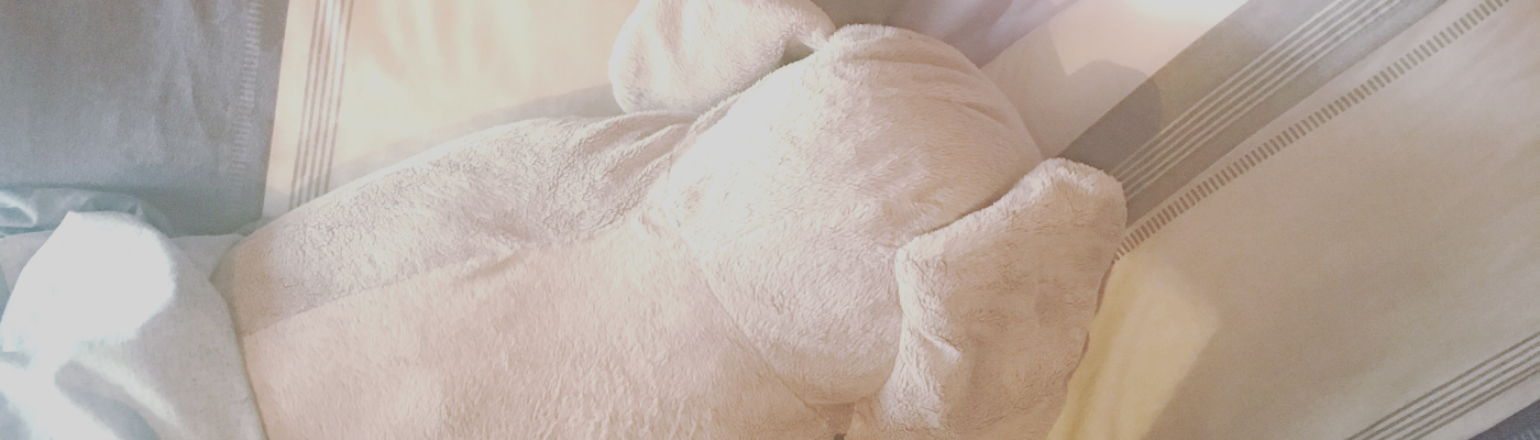 Profile banner image for backbeatwriter