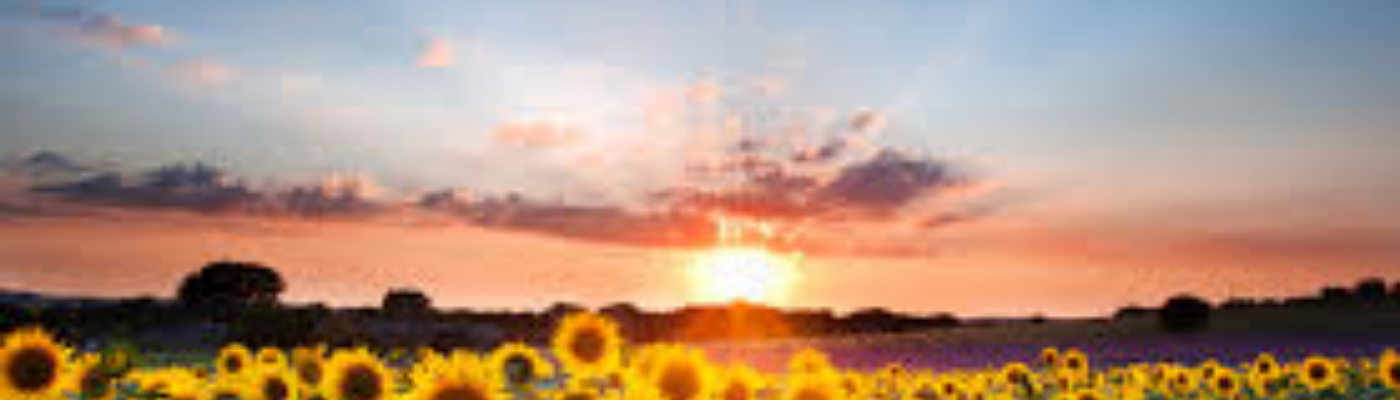 Profile banner image for tarynsanders01