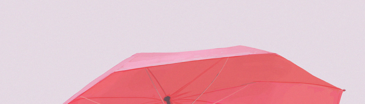 Profile banner image for rougepluie