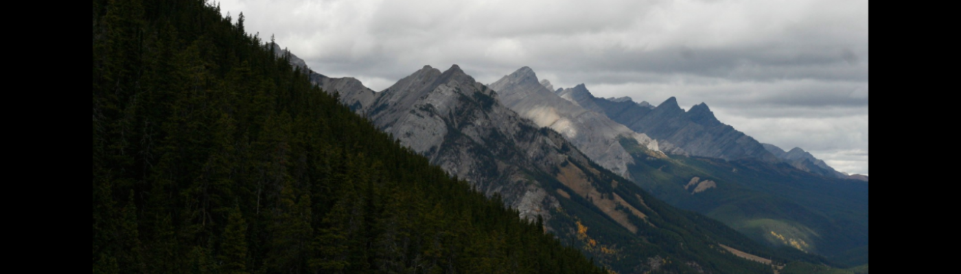 Profile banner image for Leslie_Kessler