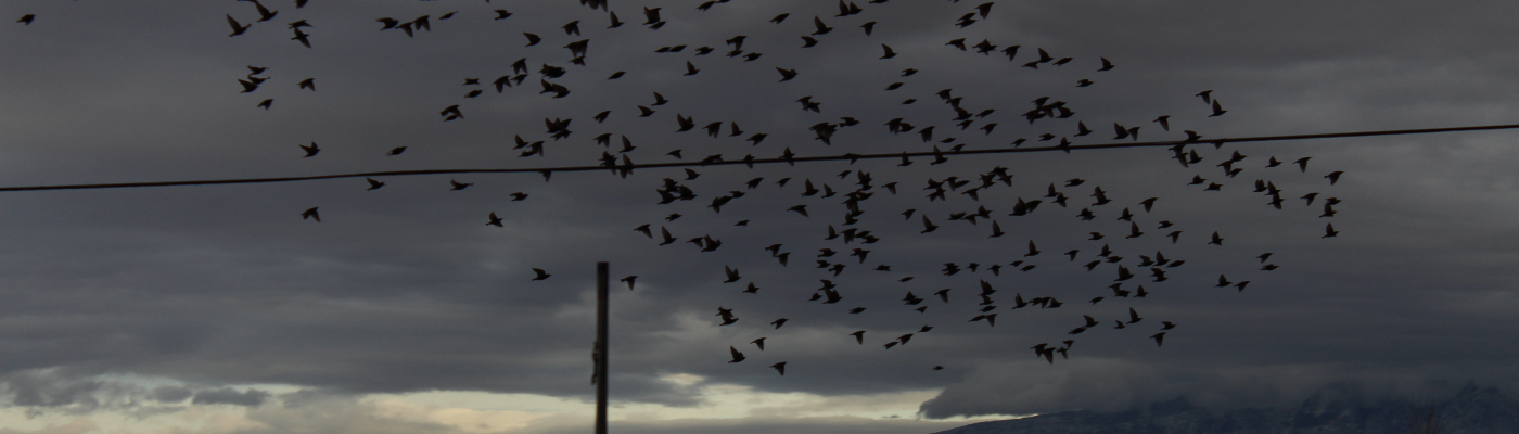 Profile banner image for Katyr