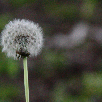 Profile avatar image for TheCruzCoast