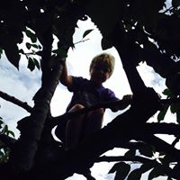 Profile avatar image for KMNelson