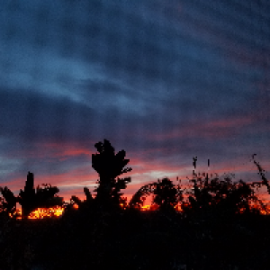 Profile avatar image for Butterbreead