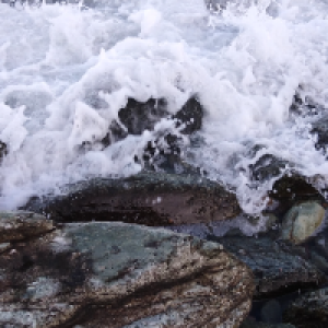 Profile avatar image for Kittysailor