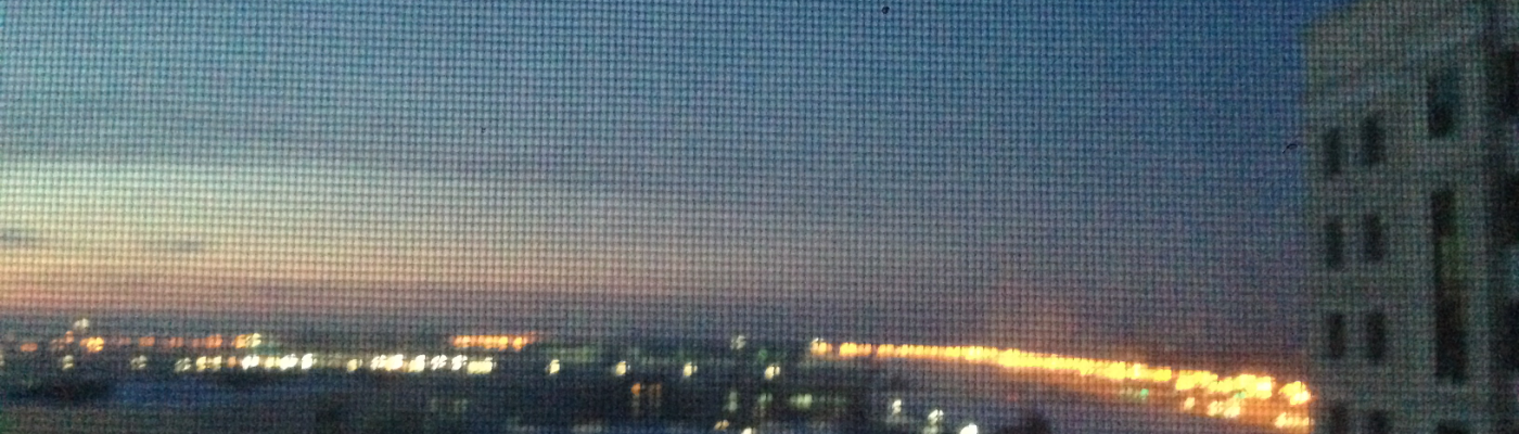 Profile banner image for scaredy