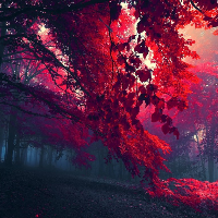 Profile avatar image for laruam