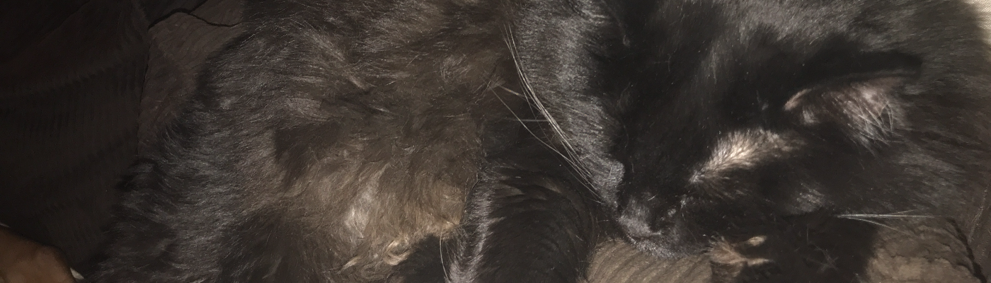 Profile banner image for luckyblackcats