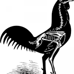 Profile avatar image for RWEV