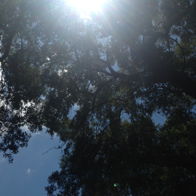 Profile avatar image for lz