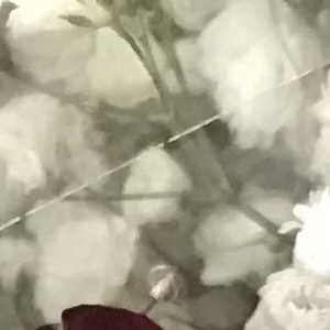 Profile avatar image for BrokenThunder