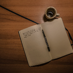 Profile avatar image for fictionings