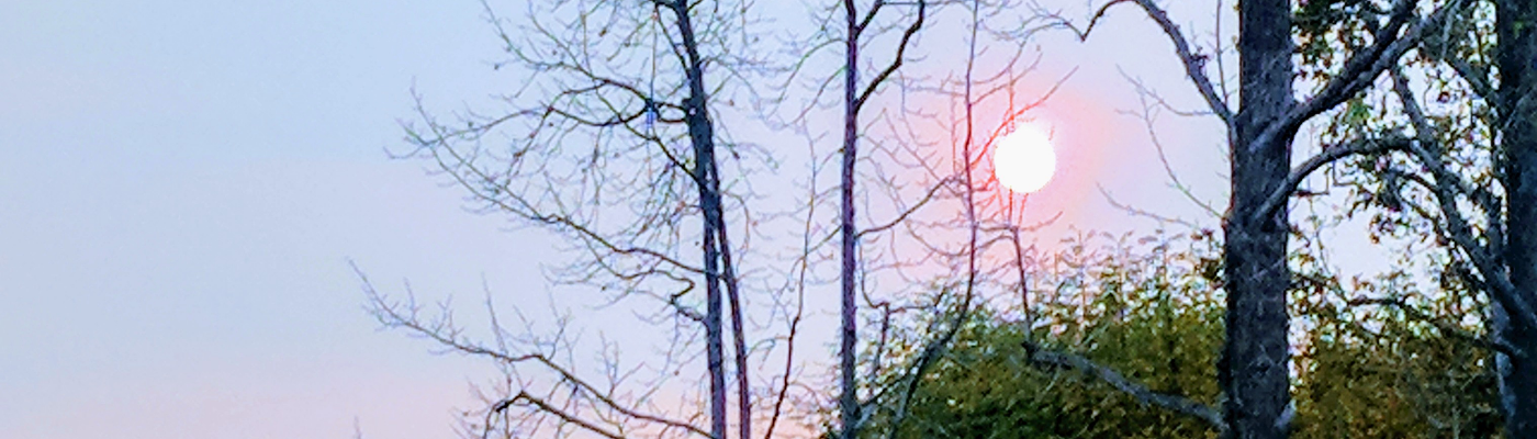 Profile banner image for Femingway