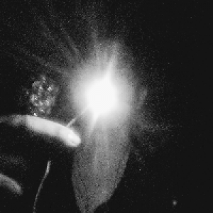 Profile avatar image for Femingway