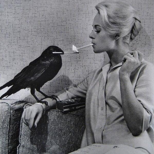 Profile avatar image for JillyBoyd