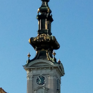 Profile avatar image for Carrington