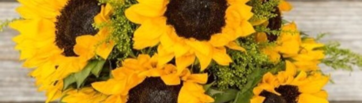 Profile banner image for Xbreaxgrimes