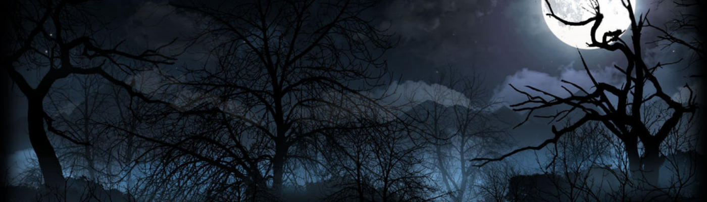 Profile banner image for nikidhobbit