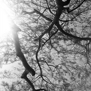 Profile avatar image for CellarDoors