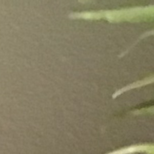 Profile avatar image for JosC